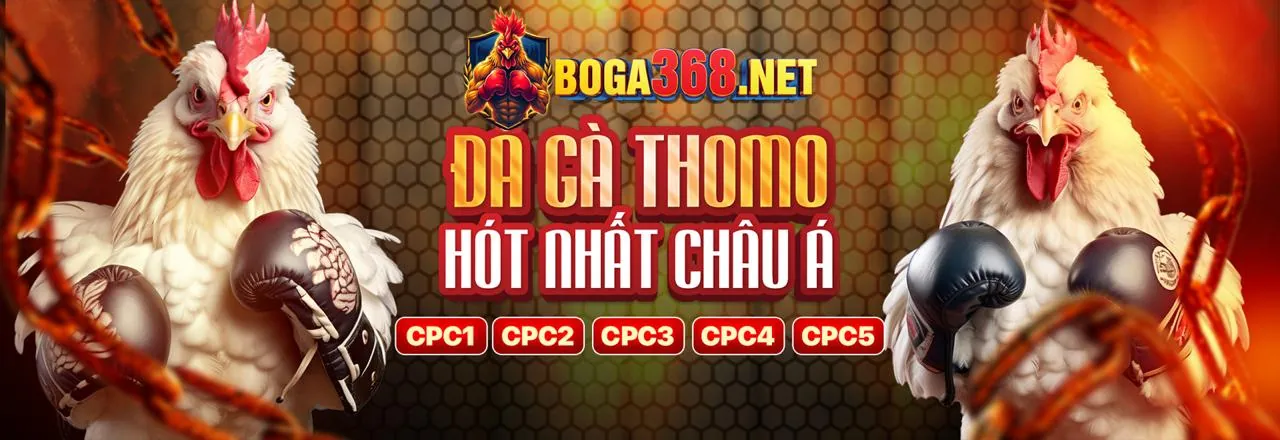 Hình ảnh chính về các chương trình khuyến mãi fsbet link vào